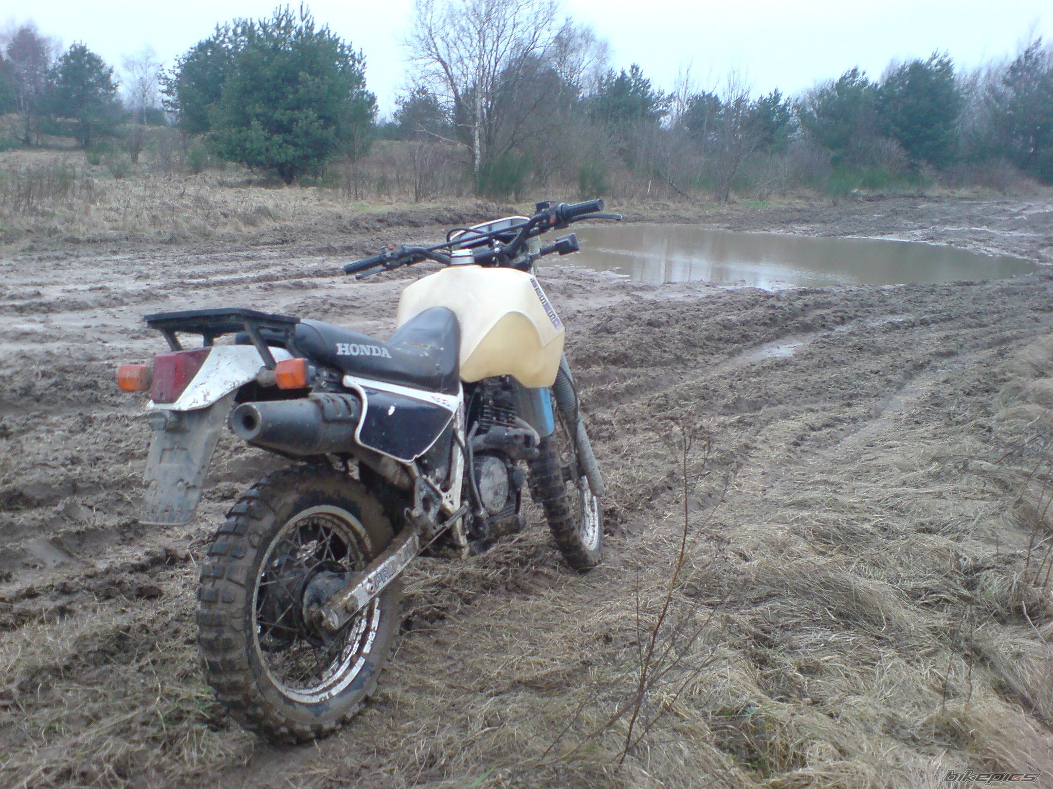 1989 HONDA XL 600 | Picture 1166651 motorcycle photo