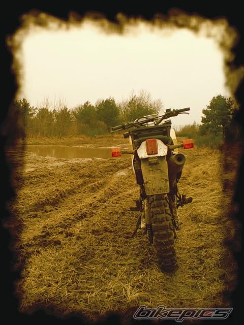 1989 HONDA XL 600 | Picture 1166660 motorcycle photo