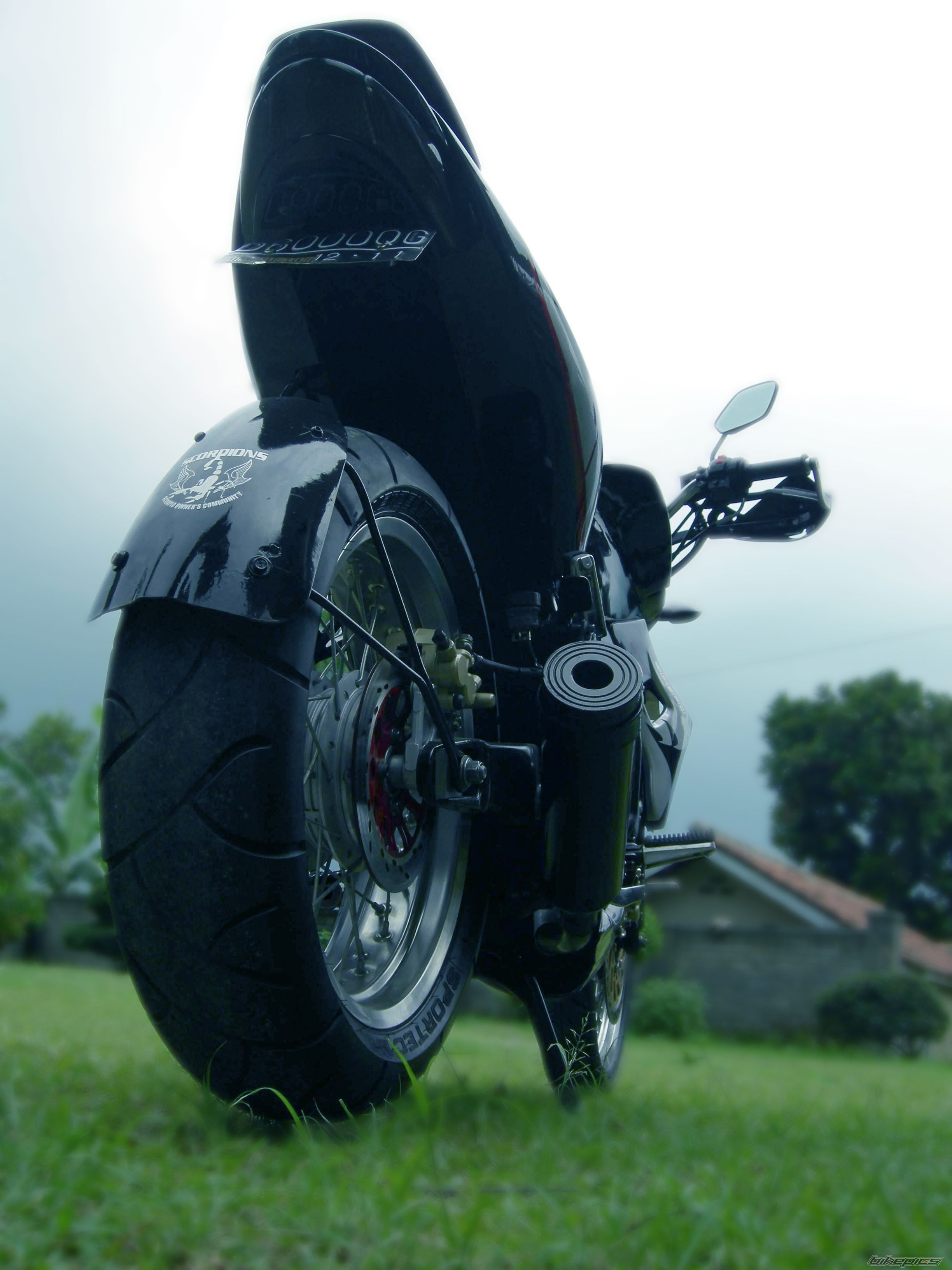2006 YAMAHA SCORPIO 225 | Picture 1166720 motorcycle photo