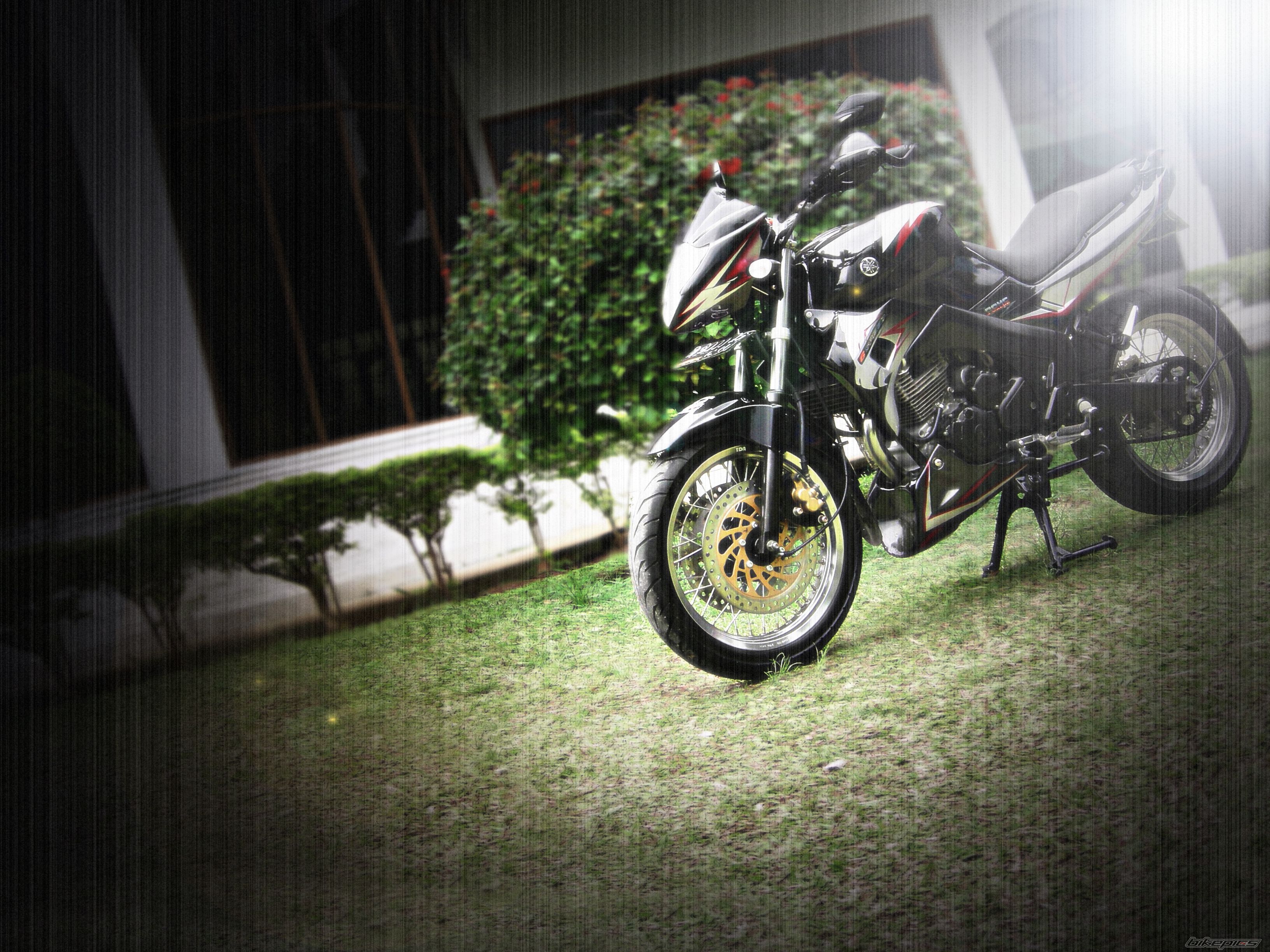 2006 YAMAHA SCORPIO 225 | Picture 1166724 motorcycle photo