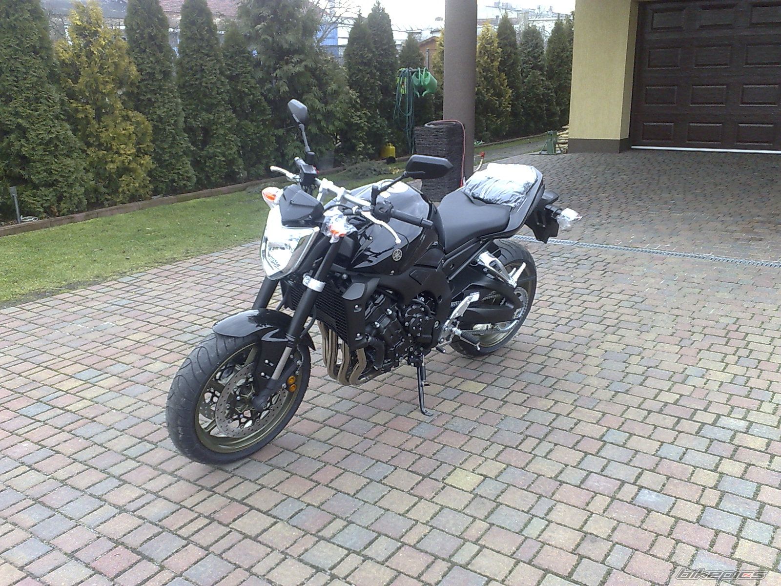 2008 YAMAHA FZ 1N | Picture 1166862 motorcycle photo