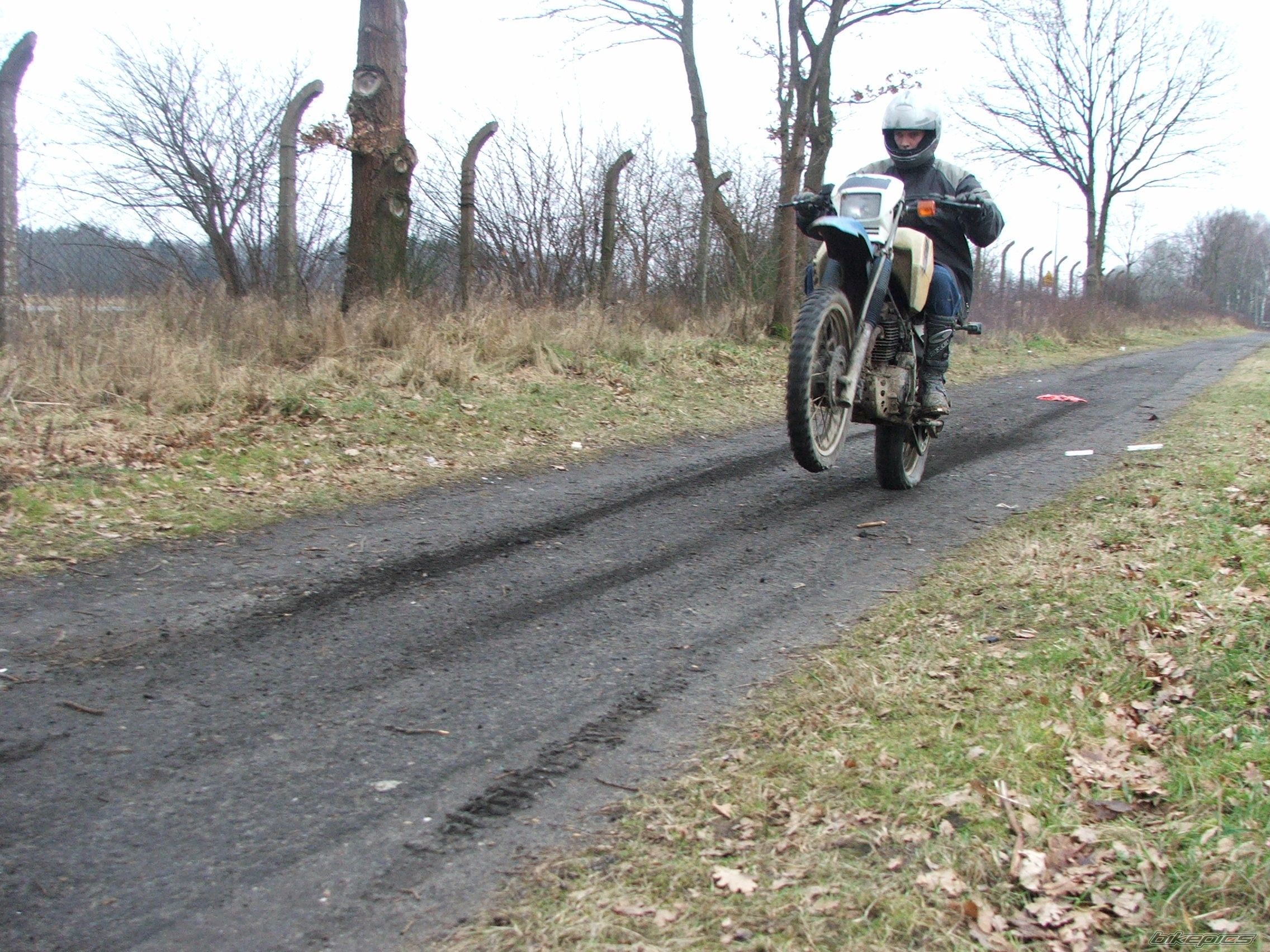 1989 HONDA XL 600 | Picture 1167096 motorcycle photo
