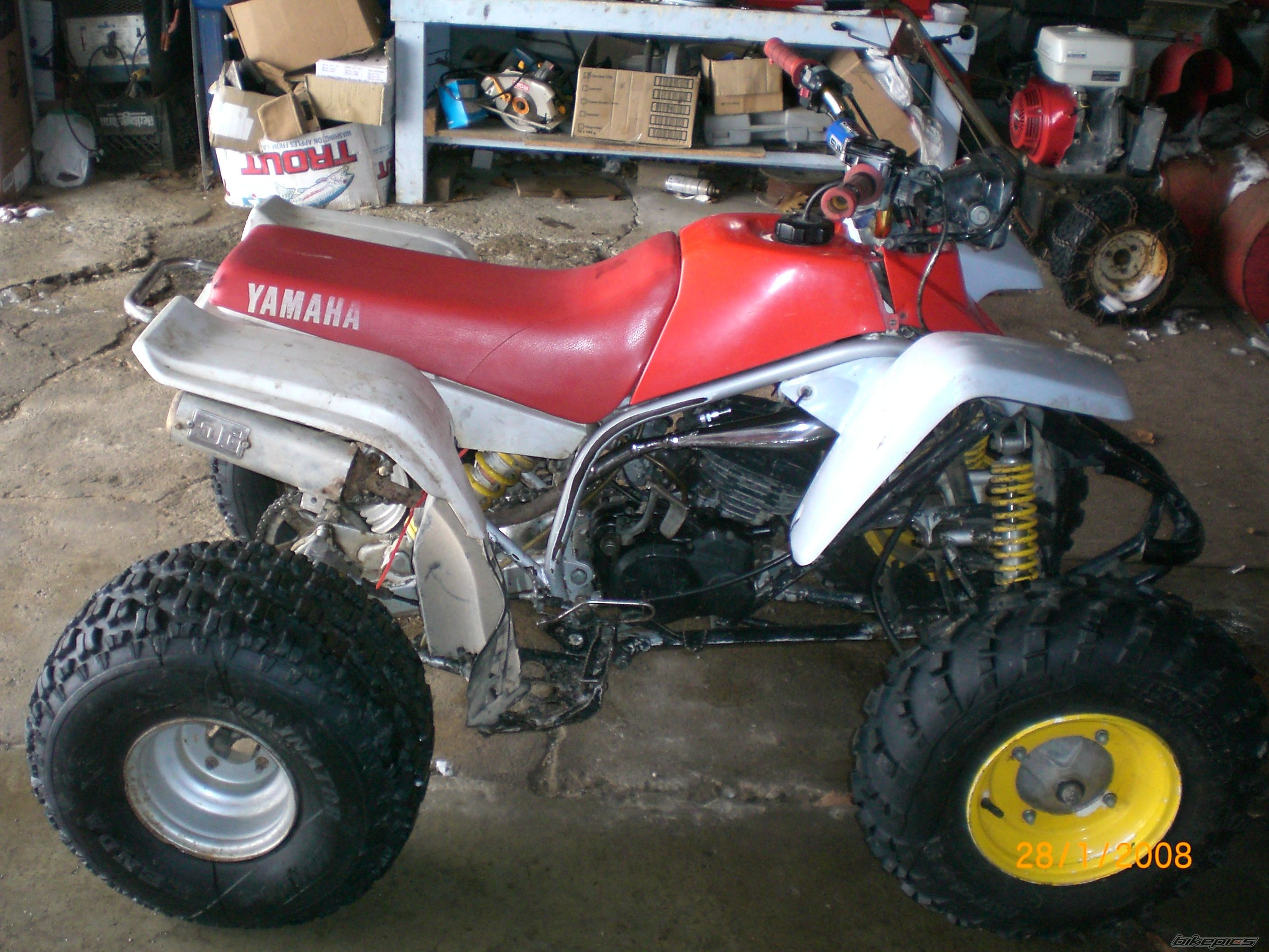 1989 YAMAHA BLASTER | Picture 1167535 motorcycle photo