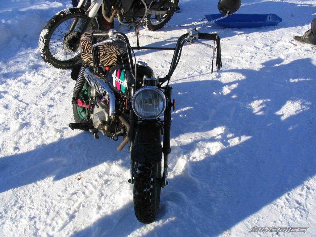 1991 HONDA Z 50 | Picture 116870 motorcycle photo