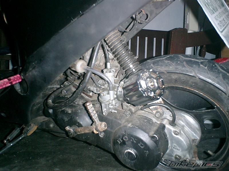 2005 HONDA DIO 50 | Picture 1170114 motorcycle photo