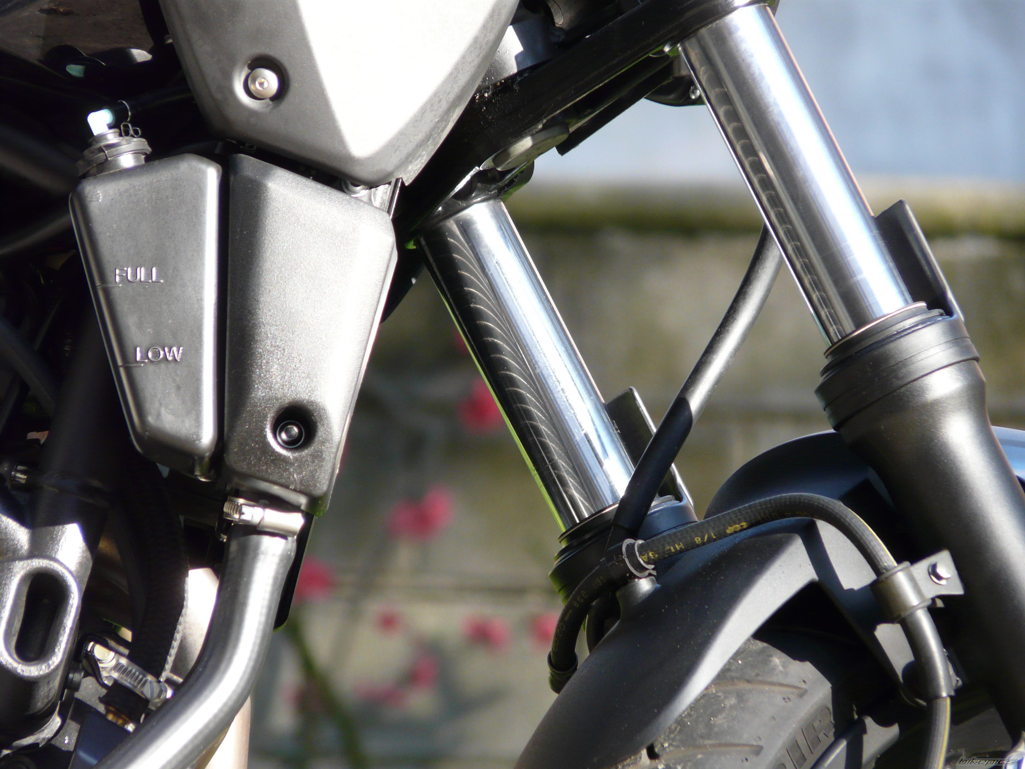 2007 YAMAHA MT 03 | Picture 1170476 motorcycle photo