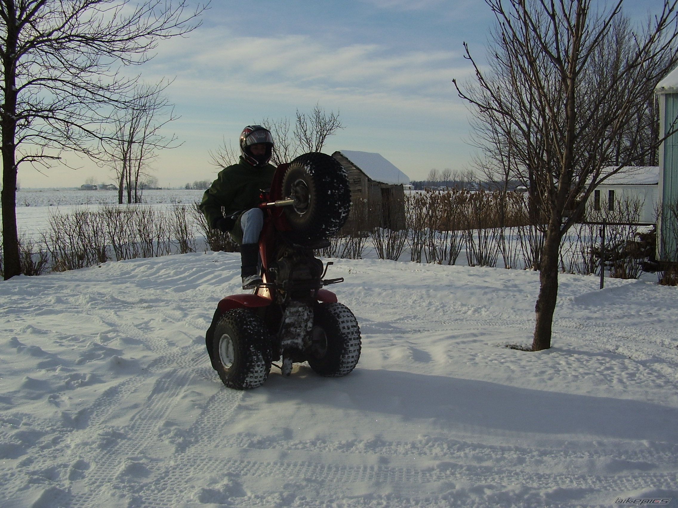 1984 HONDA ATC 200 | Picture 1171004 motorcycle photo