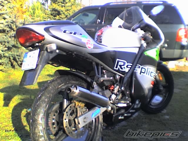 2004 DERBI GPR 50 REPLICA | Picture 1171172 motorcycle photo