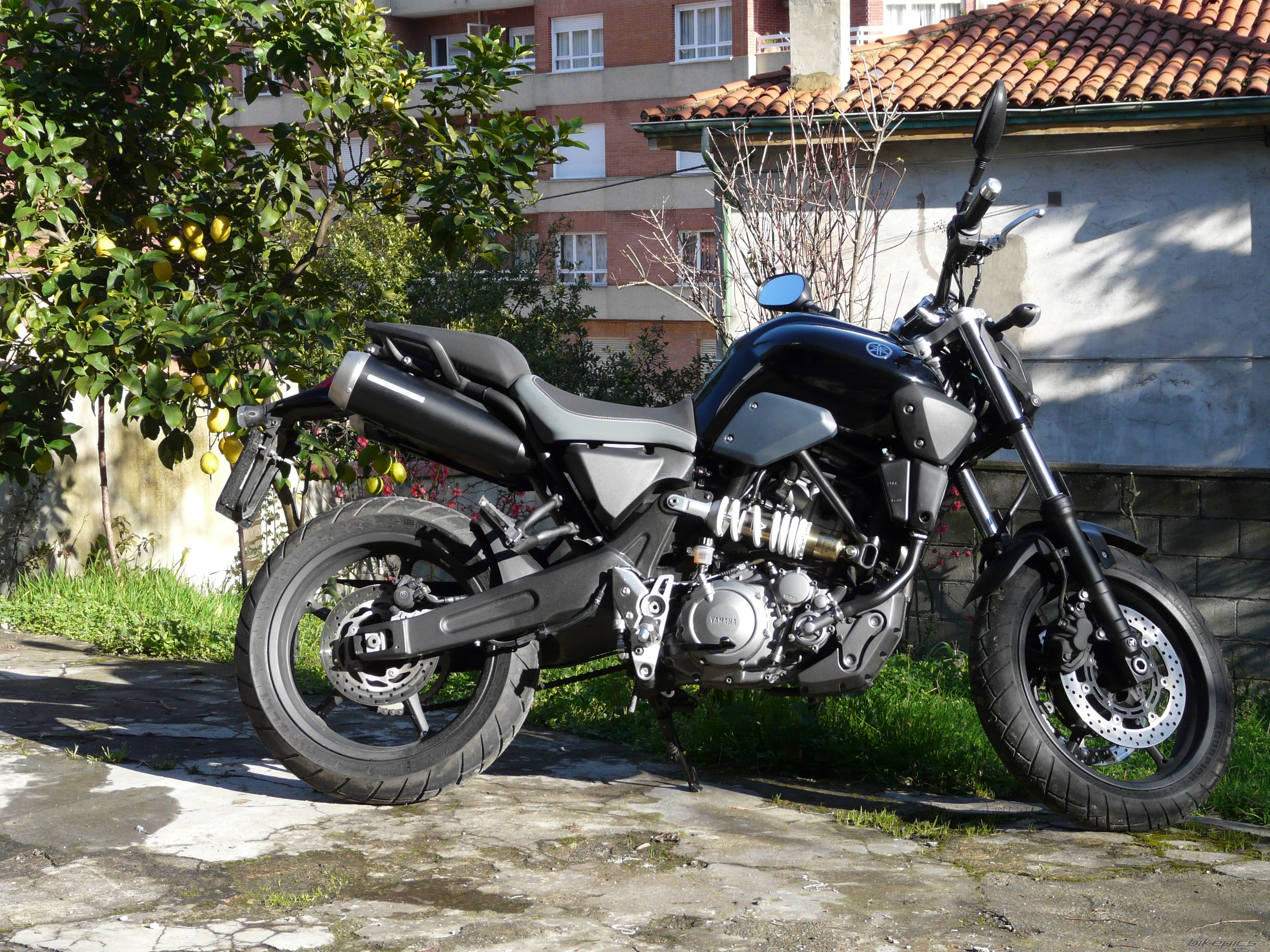 2007 YAMAHA MT 03 | Picture 1171577 motorcycle photo
