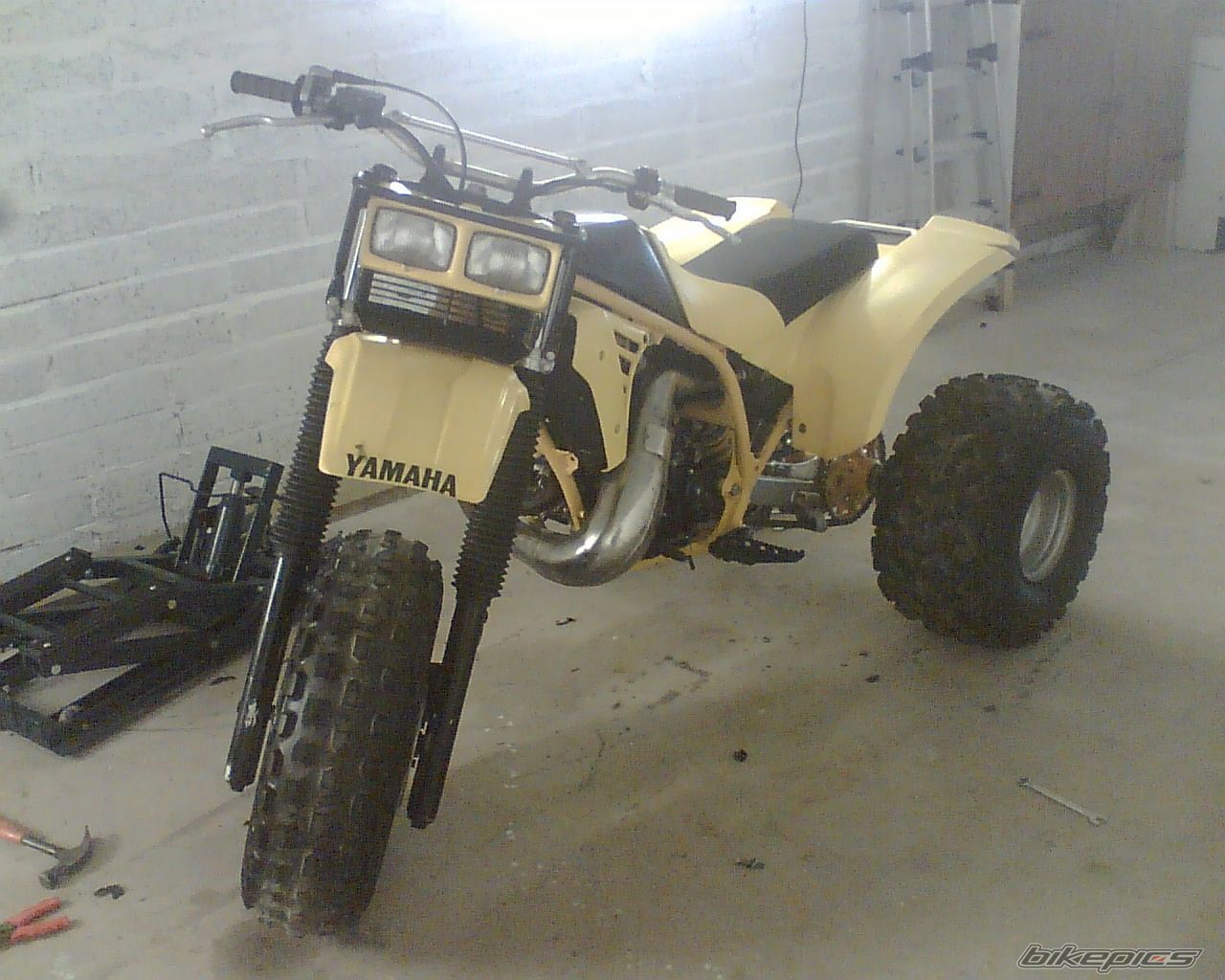 1985 YAMAHA TRI Z 250 | Picture 1171594 motorcycle photo
