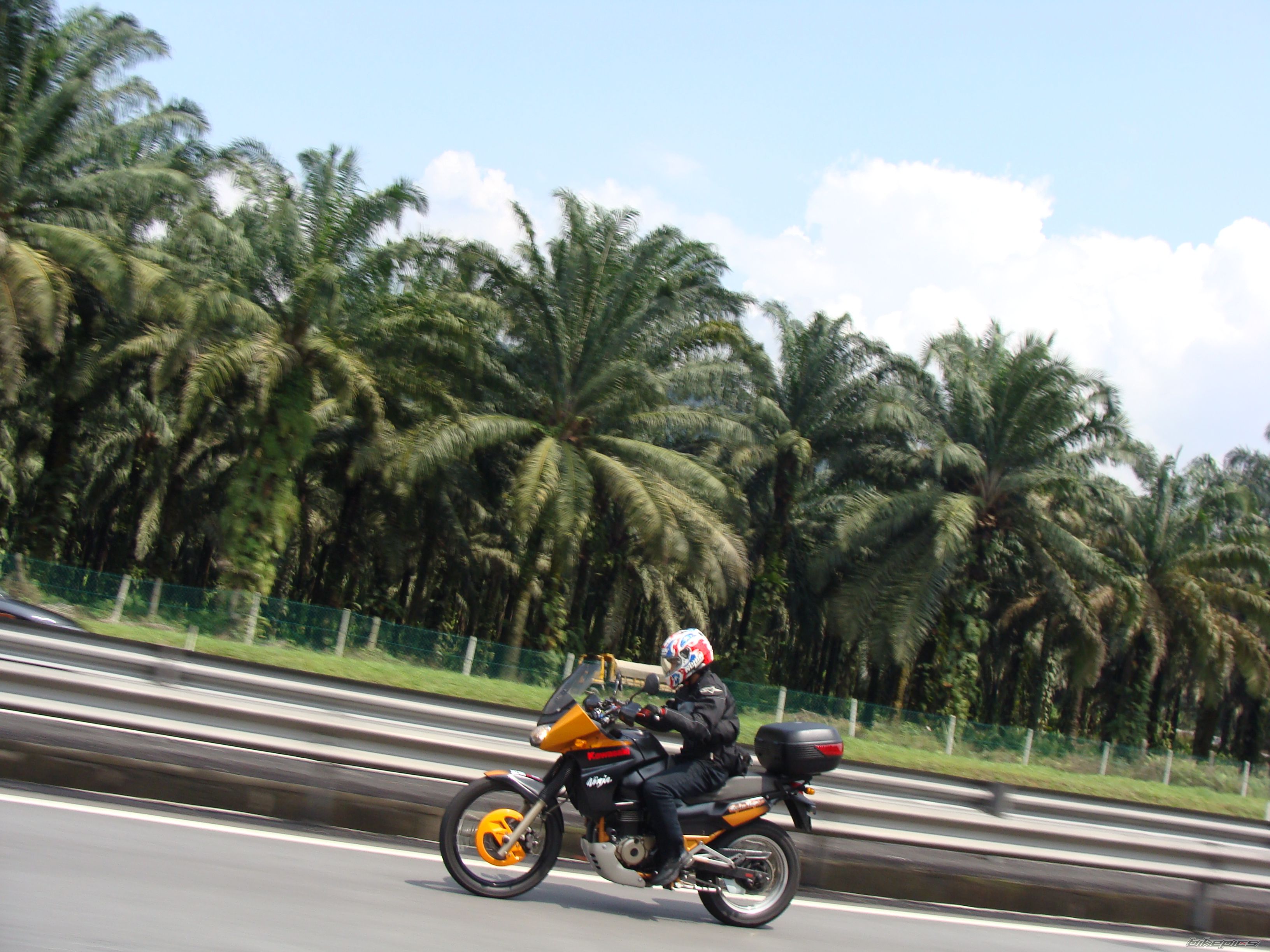    | Picture 1171772 motorcycle photo
