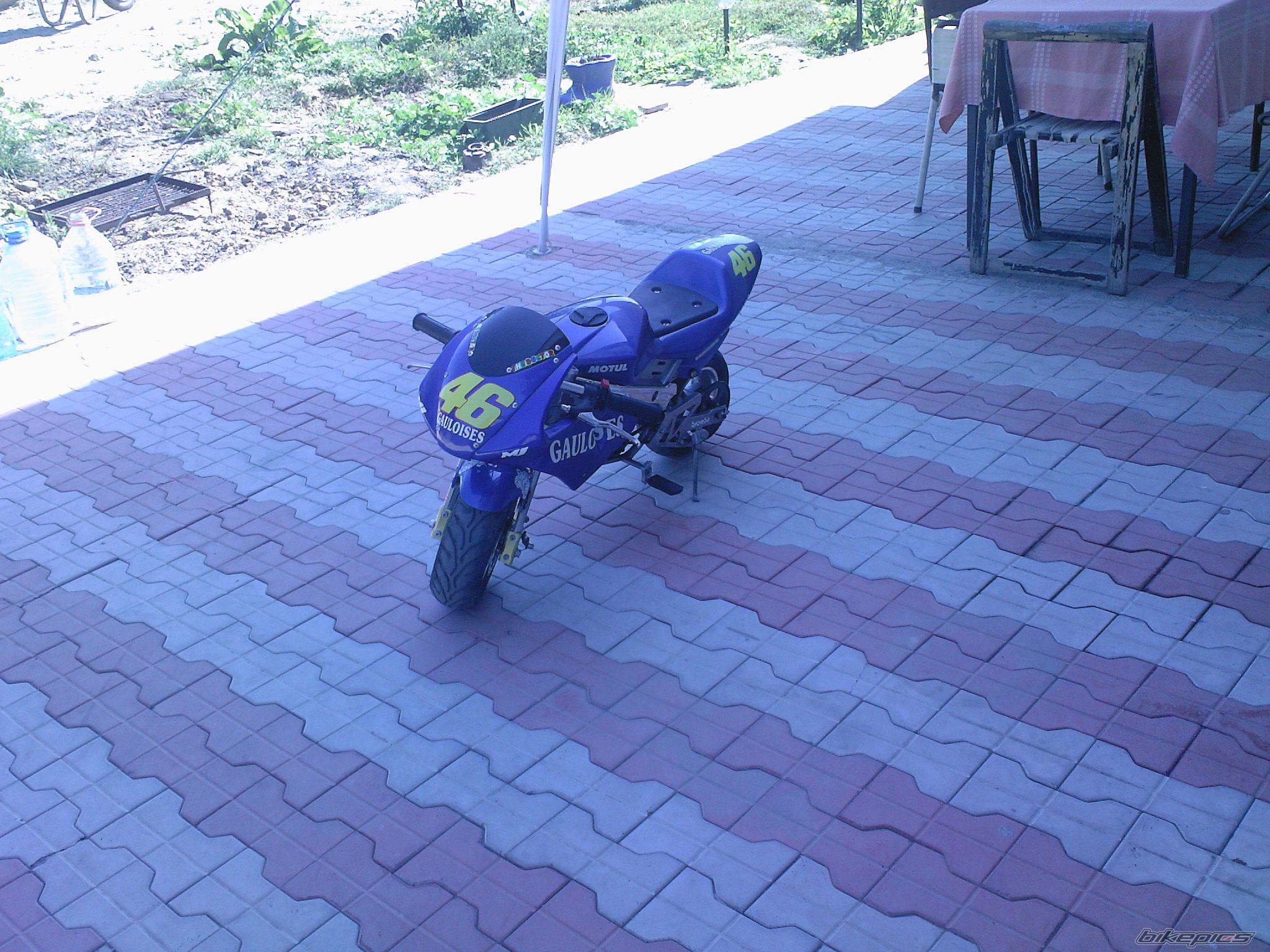 2007 POLINI BLATA MINI MOTO RACE REPLICA | Picture 1171843 motorcycle photo