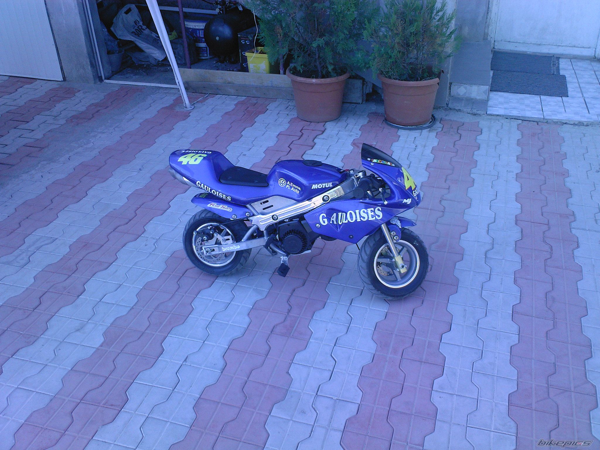 2007 POLINI BLATA MINI MOTO RACE REPLICA | Picture 1171844 motorcycle photo