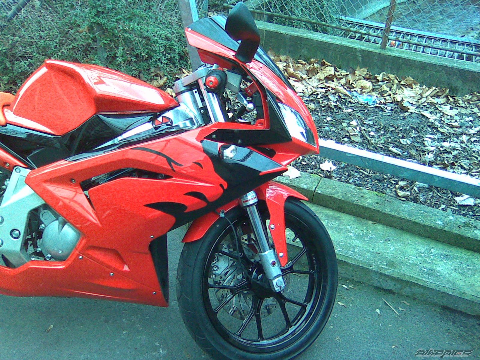 2009 APRILIA RS 50 | Picture 1172223 motorcycle photo