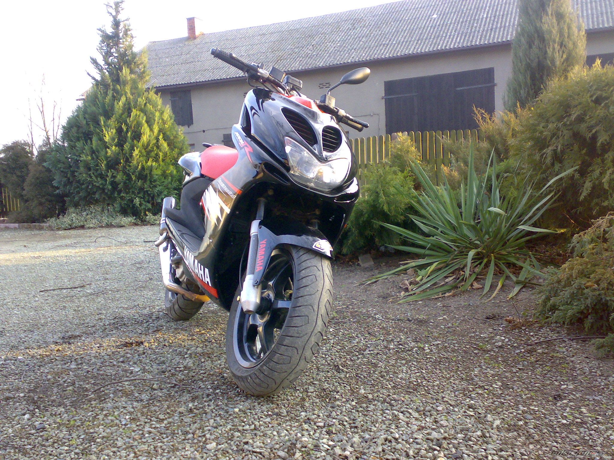 2005 YAMAHA AEROX 50 | Picture 1172244 motorcycle photo