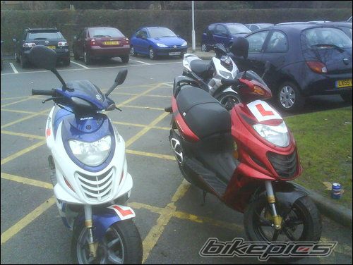 2004 SUZUKI AY 50 | Picture 1172972 motorcycle photo