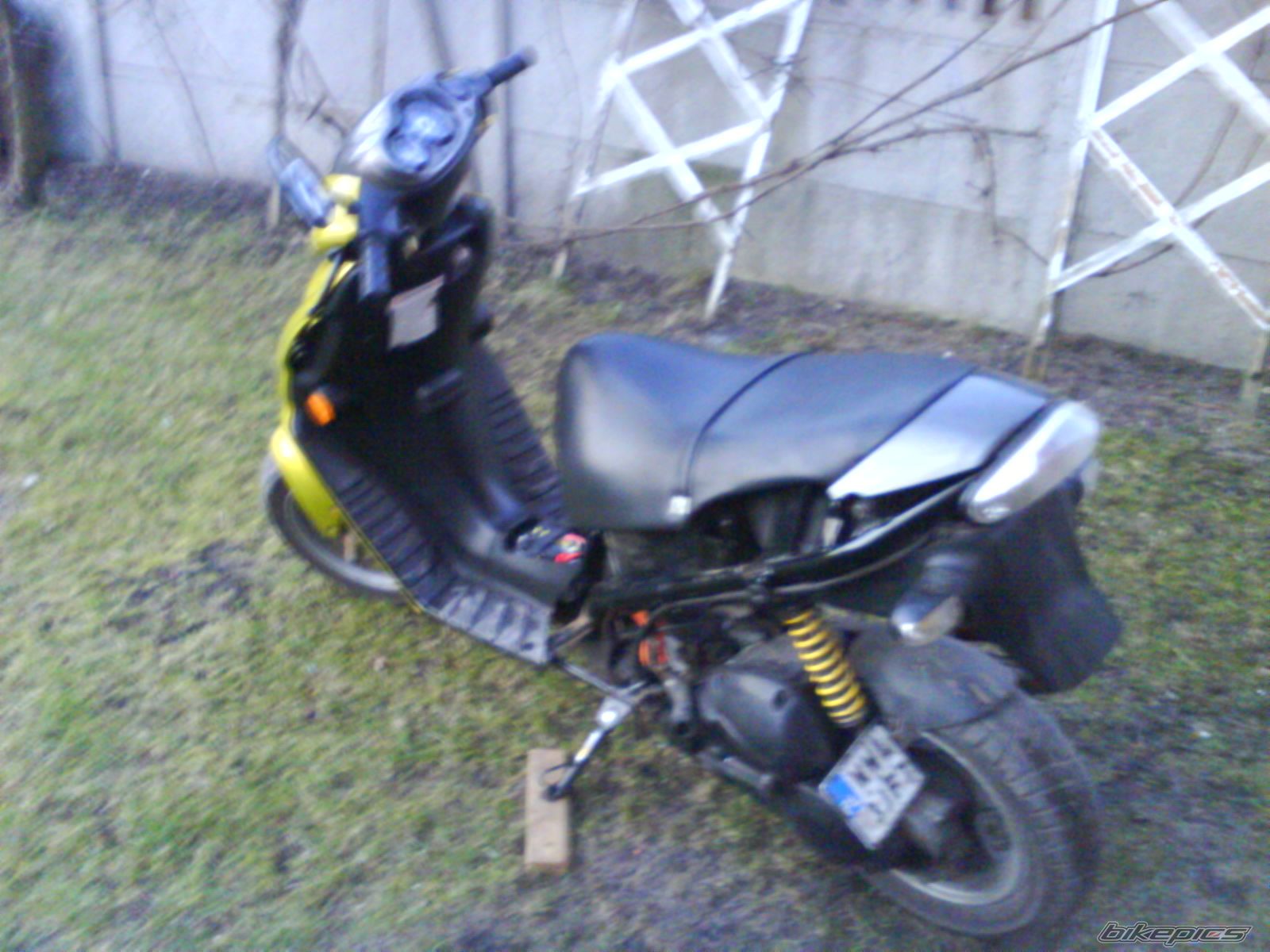 1998 SUZUKI AY 50 | Picture 1173195 motorcycle photo