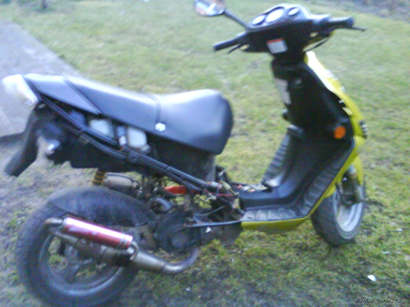1998 SUZUKI AY 50 | Picture 1173197 motorcycle photo