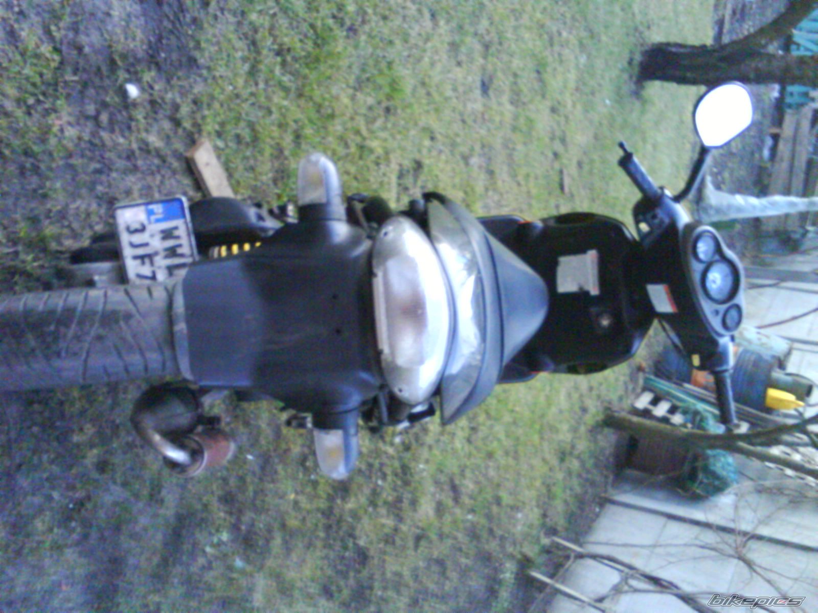 1998 SUZUKI AY 50 | Picture 1173201 motorcycle photo