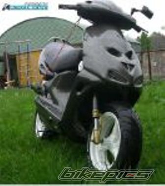 1998 SUZUKI AY 50 | Picture 1173214 motorcycle photo