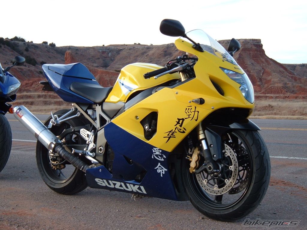 2005 SUZUKI GSX R 600 | Picture 1173290 motorcycle photo
