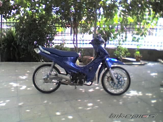 2008 YAMAHA Z 125 | Picture 1173563 motorcycle photo