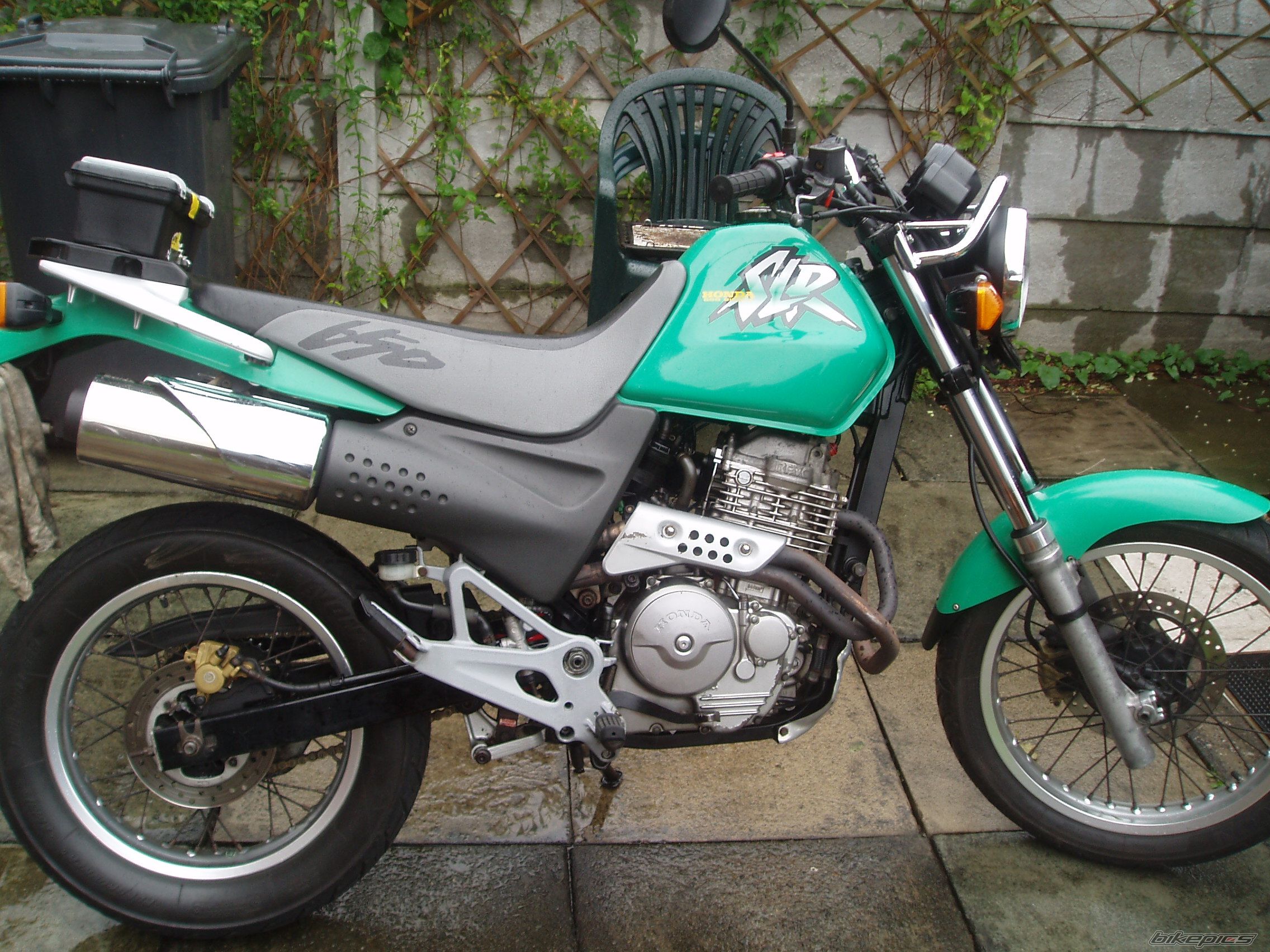 1999 HONDA SLR 650 | Picture 1173684 motorcycle photo