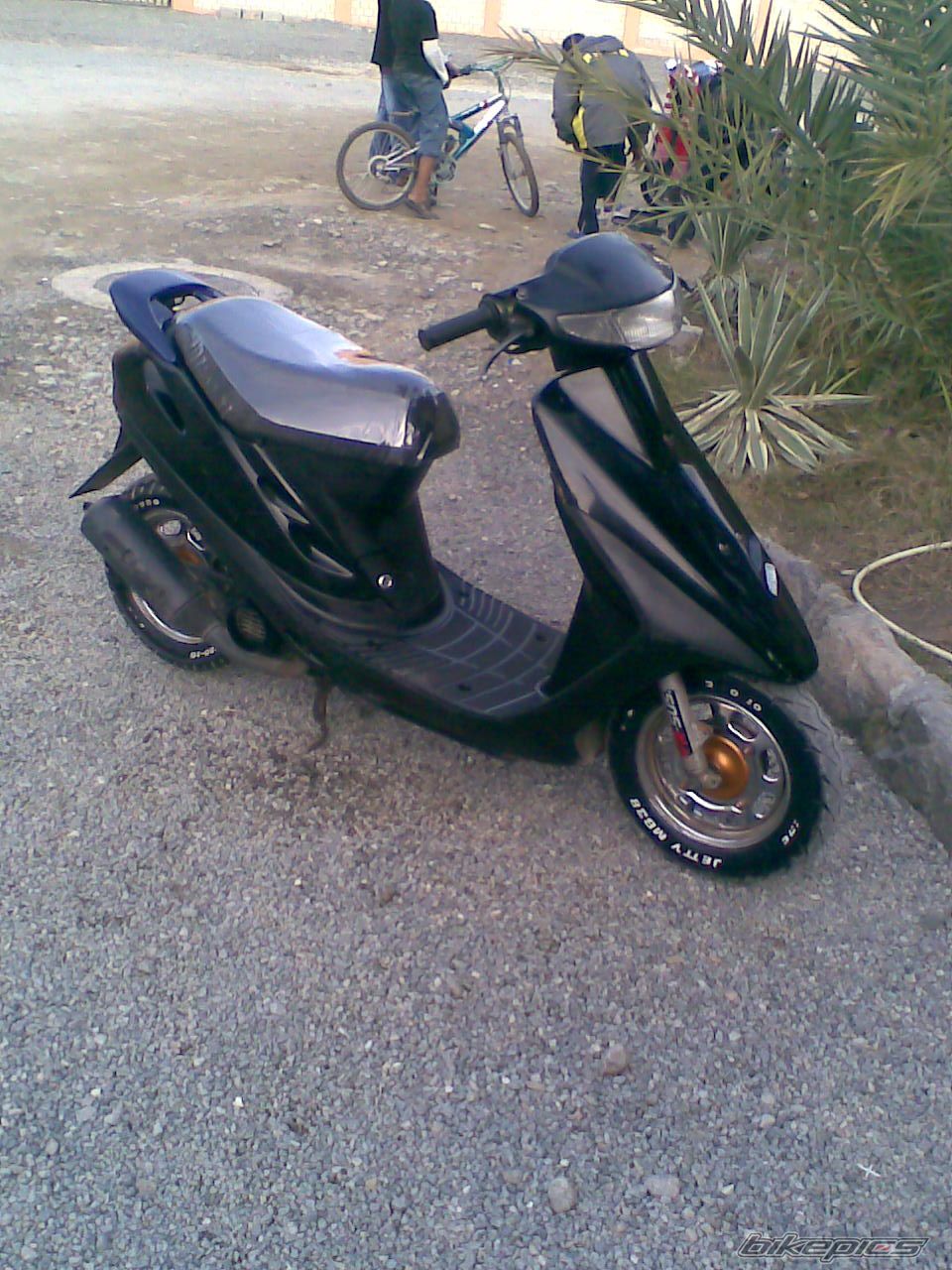 2008 HONDA HONDA DIO | Picture 1173854 motorcycle photo