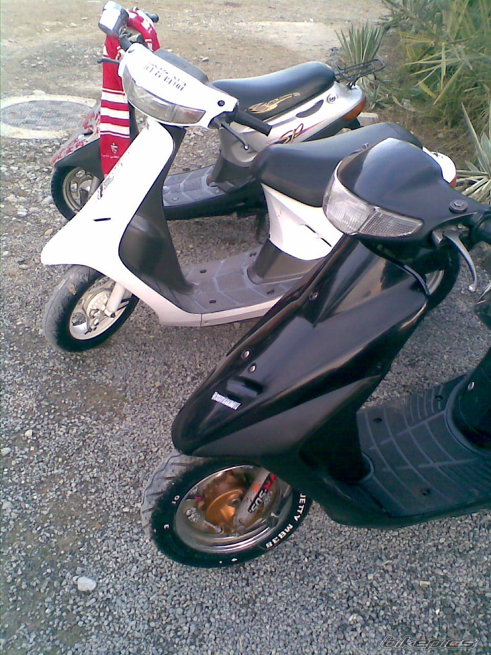 2008 HONDA HONDA DIO | Picture 1173860 motorcycle photo