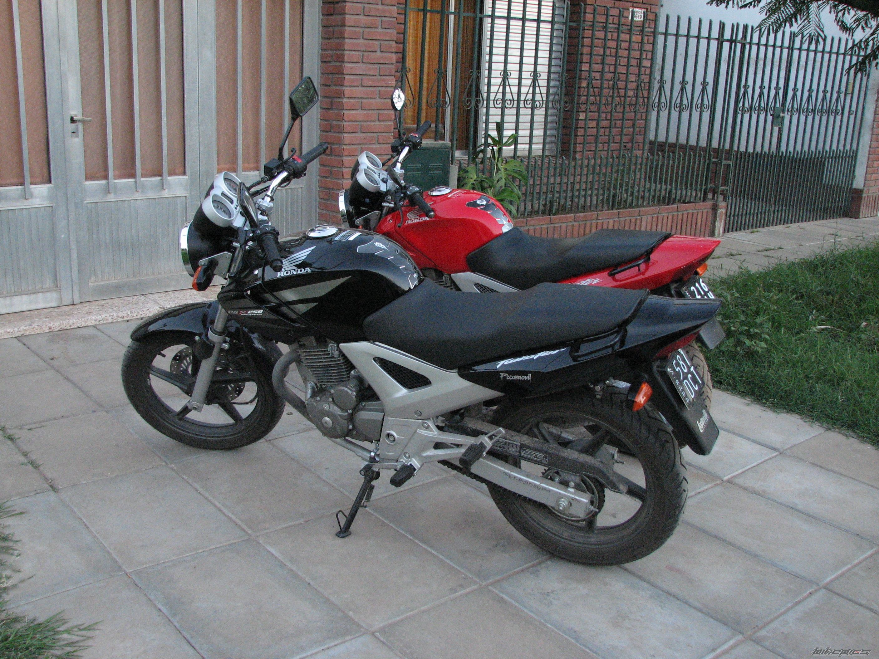 2004 HONDA CBX 250 | Picture 1174836 motorcycle photo