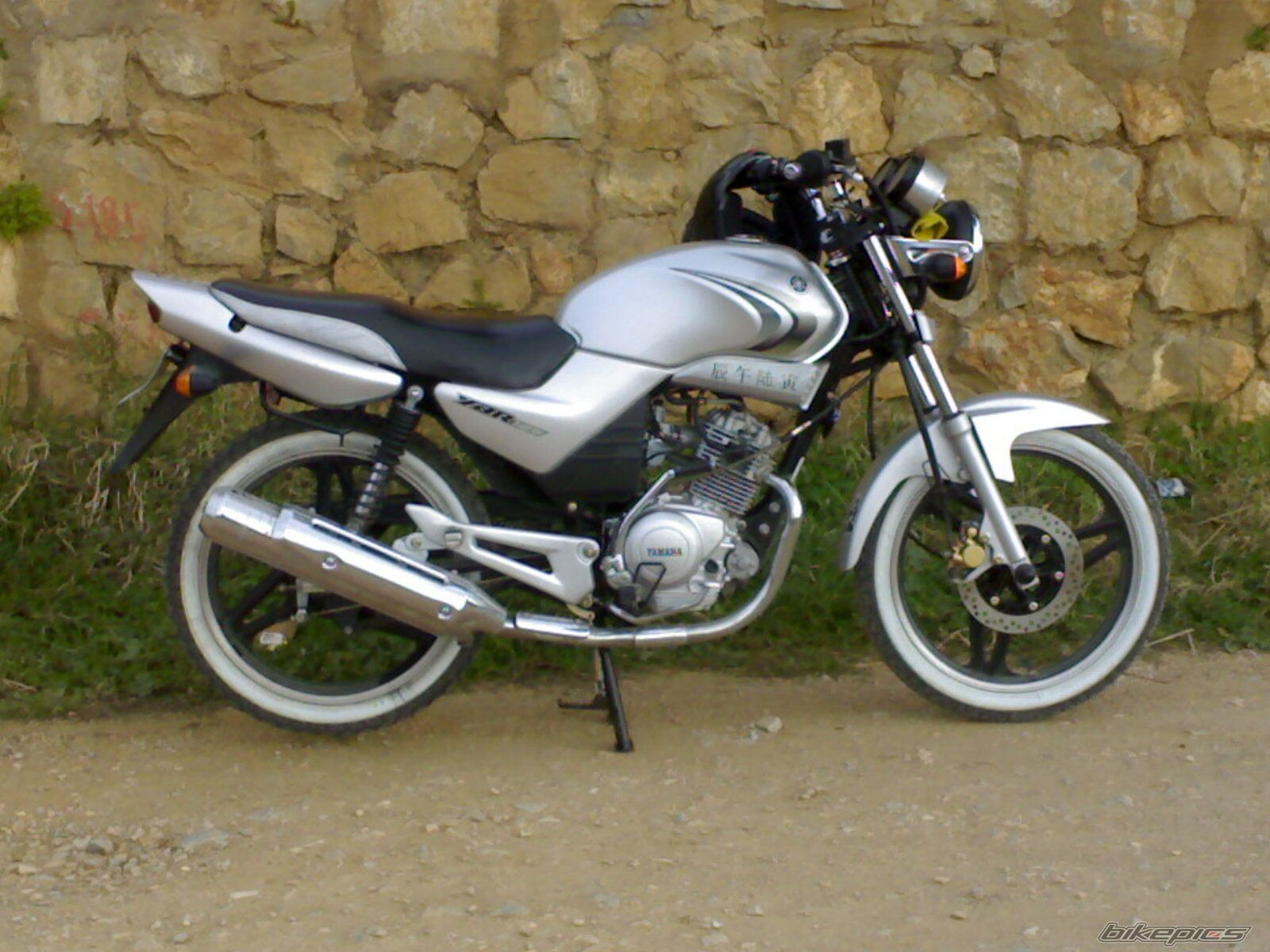 2008 YAMAHA YBR 125 | Picture 1175059 motorcycle photo