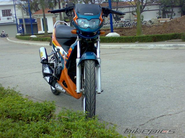 2008 HONDA NOVA DASH 125 | Picture 1175742 motorcycle photo