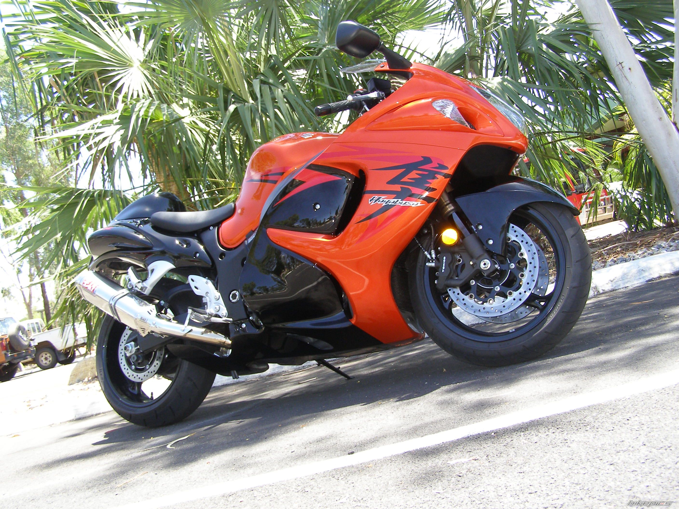2008 SUZUKI HAYABUSA | Picture 1175797 motorcycle photo