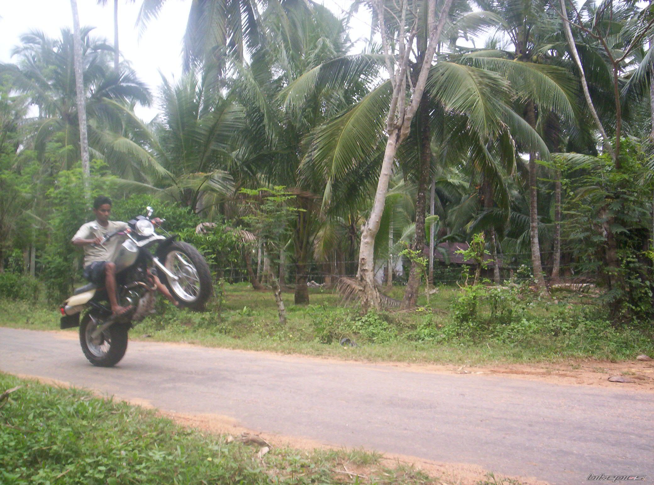 2000 YAMAHA TW 200 | Picture 1176682 motorcycle photo