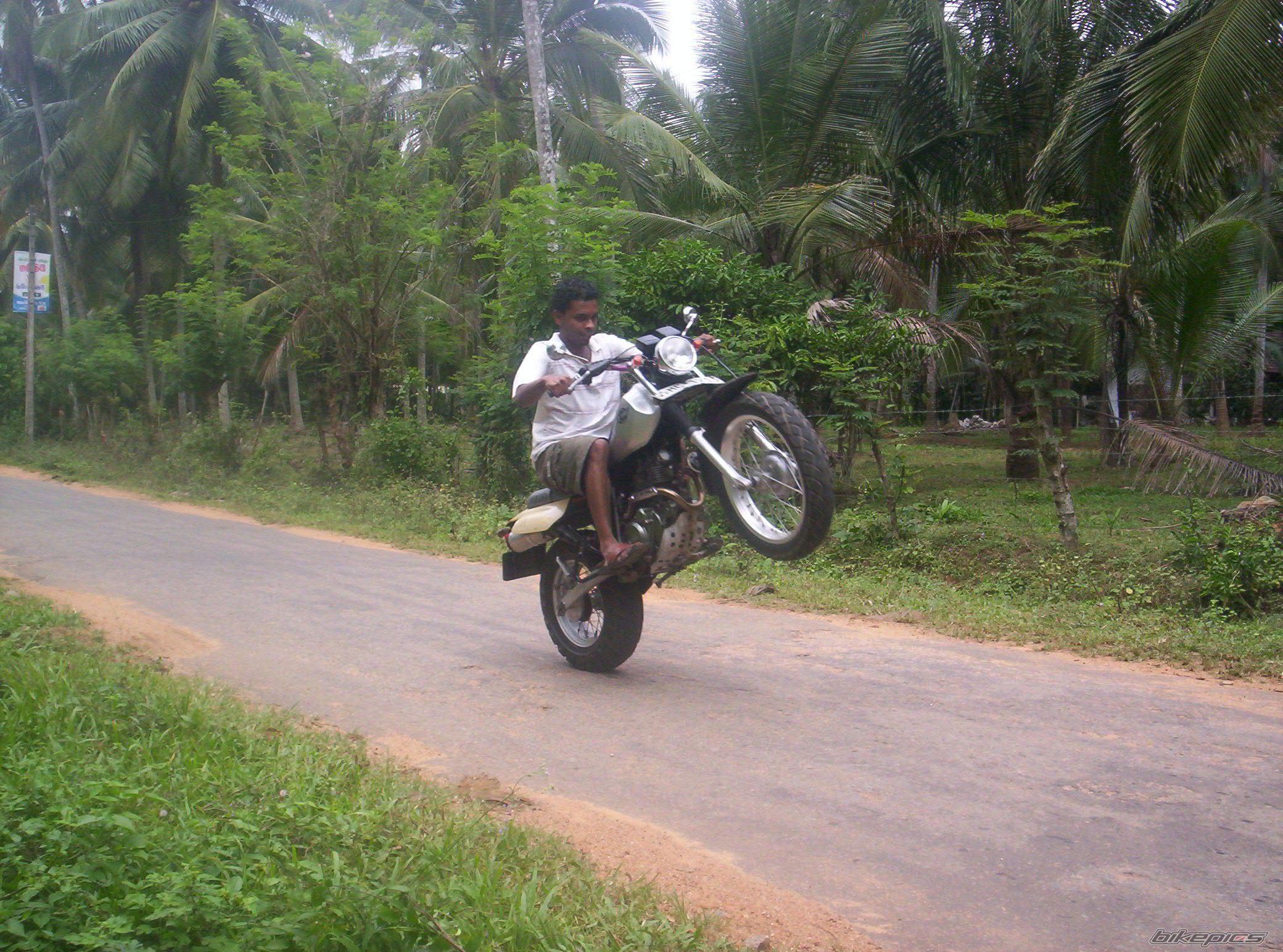 2000 YAMAHA TW 200 | Picture 1176684 motorcycle photo