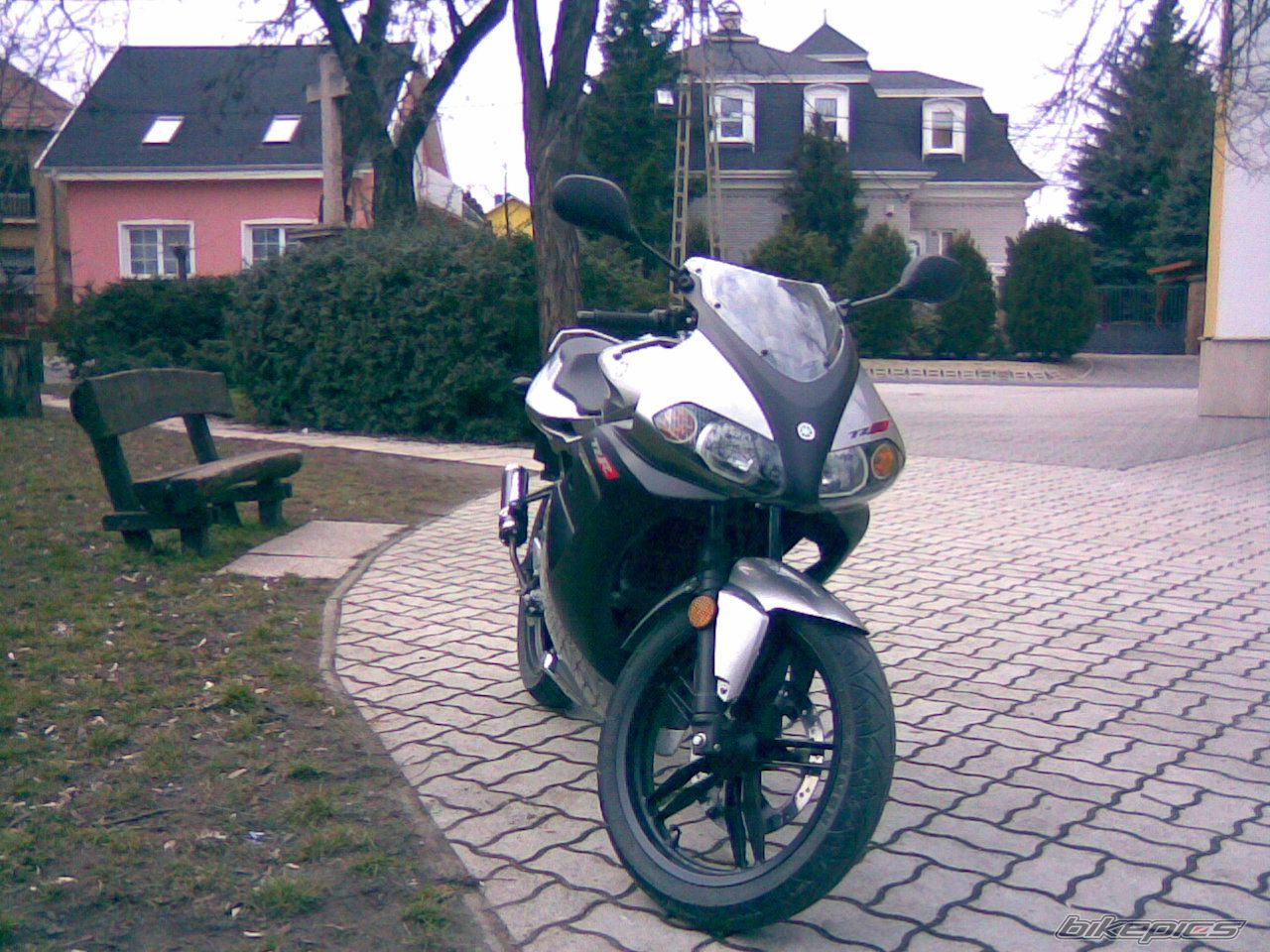 2004 YAMAHA TZR 50 | Picture 1176806 motorcycle photo