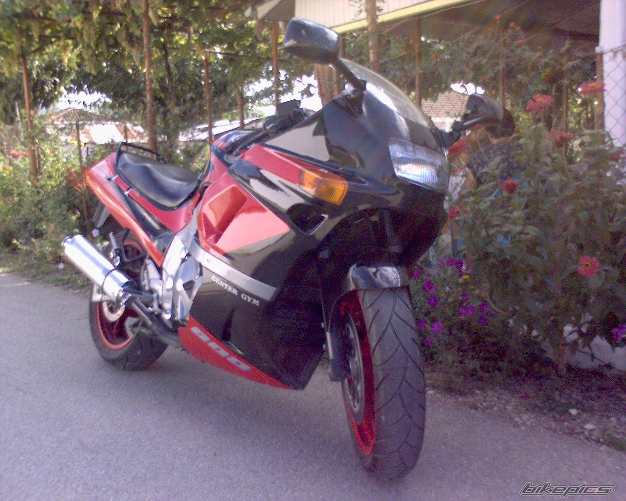 2008 YAMAHA Z 125 | Picture 1176807 motorcycle photo