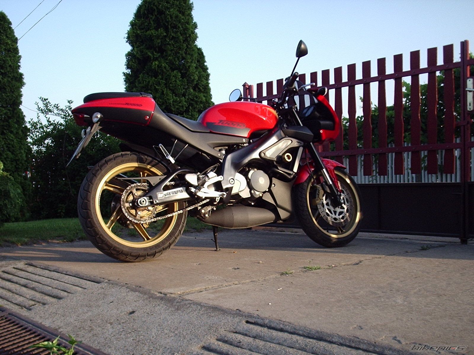2003 APRILIA TUONO 125 | Picture 1177119 motorcycle photo