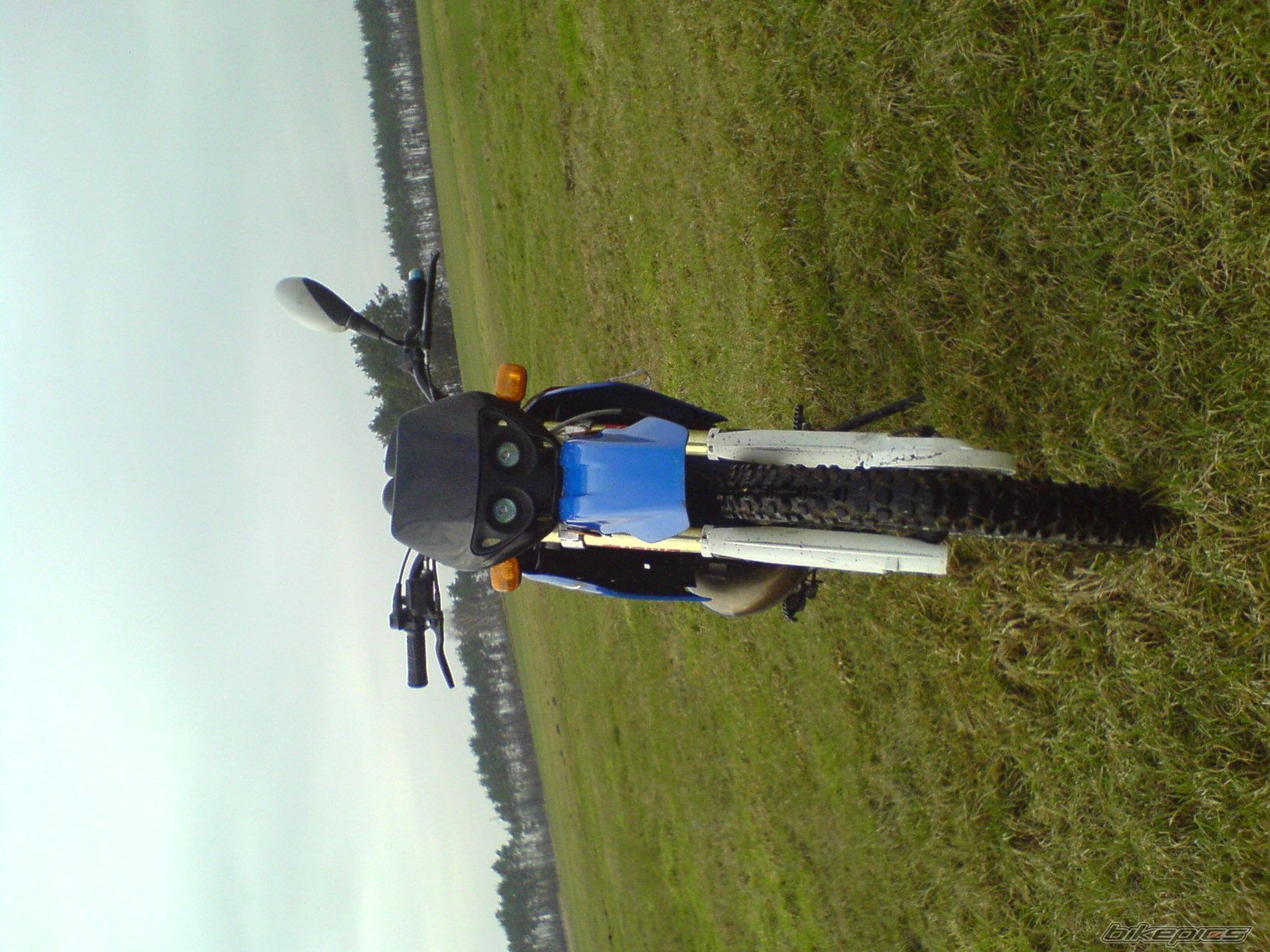 2002 SUZUKI RMX 50 | Picture 1177139 motorcycle photo