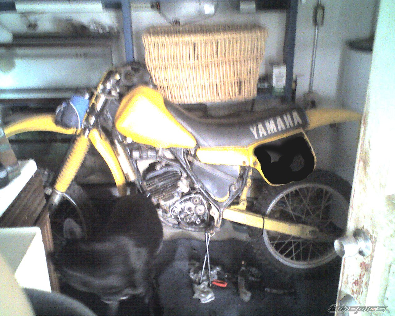 1983 YAMAHA YZ 100 | Picture 1177516 motorcycle photo