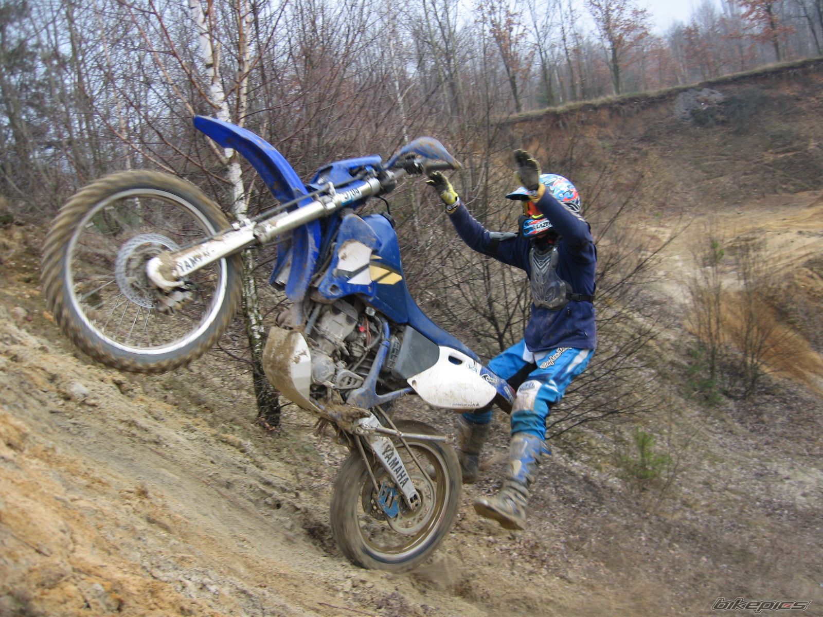 2002 YAMAHA WR 250F | Picture 1177744 motorcycle photo
