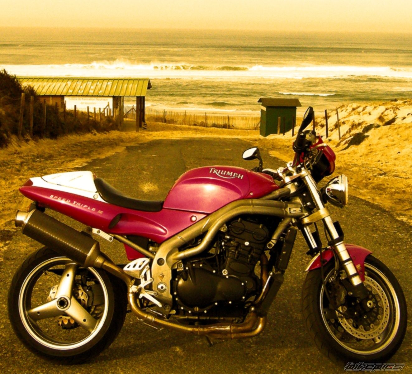 2001 TRIUMPH SPEED TRIPLE | Picture 1178265 motorcycle photo