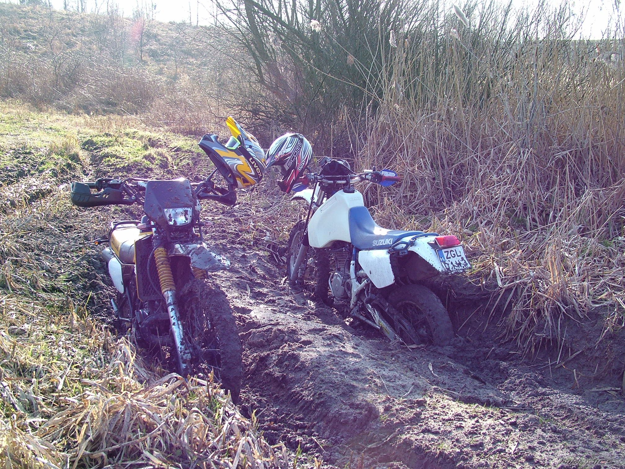 1994 SUZUKI DR 350 | Picture 1178647 motorcycle photo