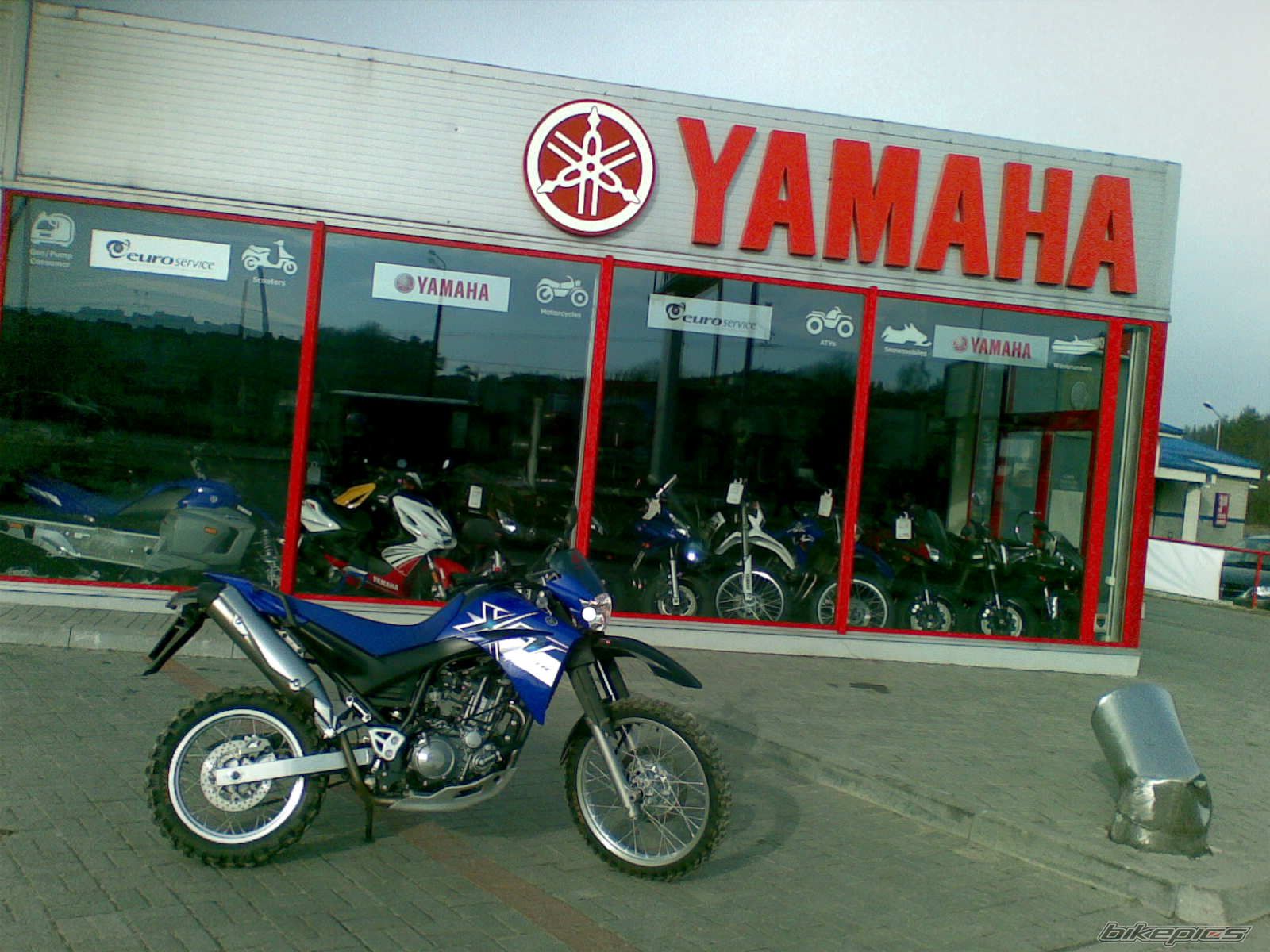 2008 YAMAHA XT 660 | Picture 1178792 motorcycle photo