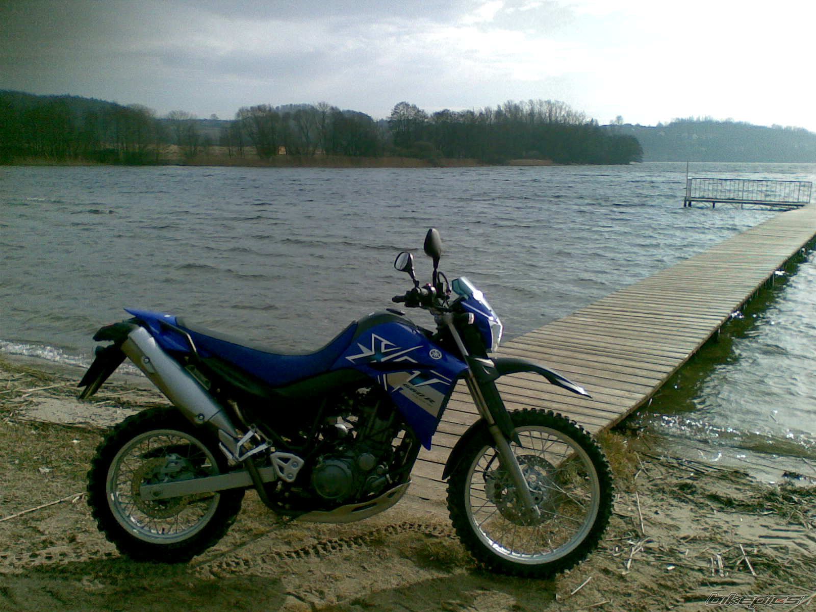 2008 YAMAHA XT 660 | Picture 1178795 motorcycle photo