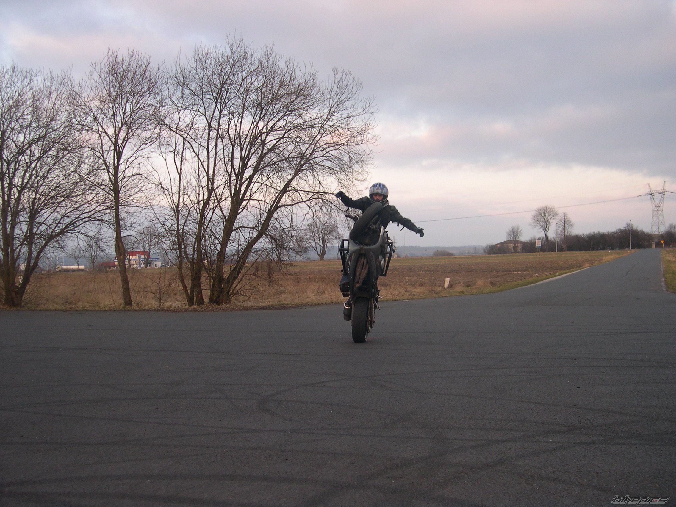1998 HONDA CBR 600 | Picture 1179151 motorcycle photo