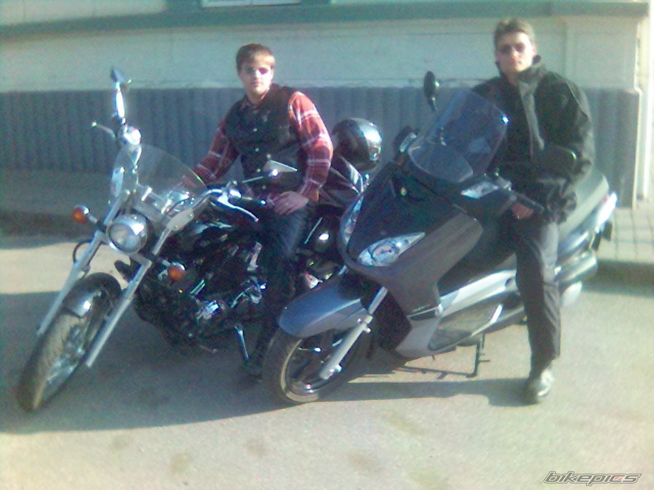 2006 YAMAHA TMAX 500 | Picture 1179229 motorcycle photo