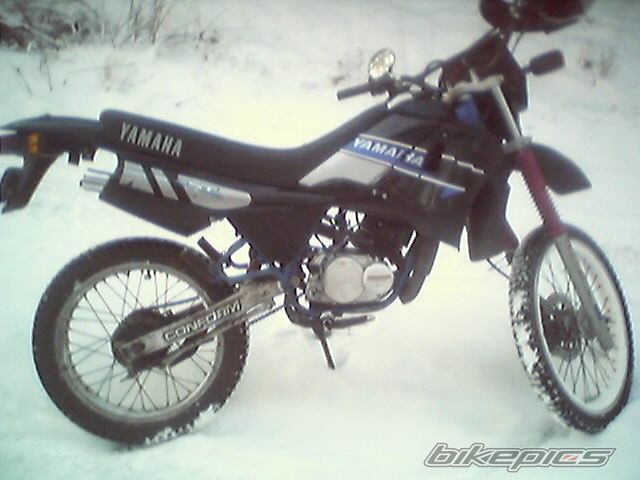 1995 YAMAHA DT 50 | Picture 1179617 motorcycle photo