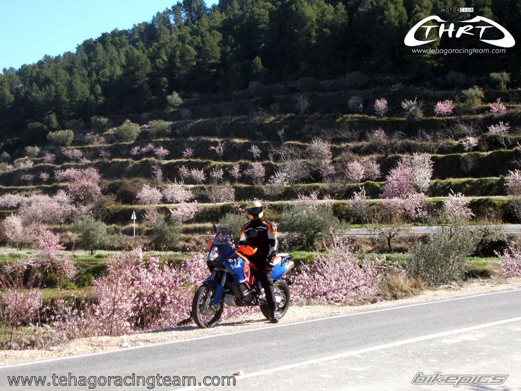 2008 KTM 990 ADVENTURE S | Picture 1179732 motorcycle photo