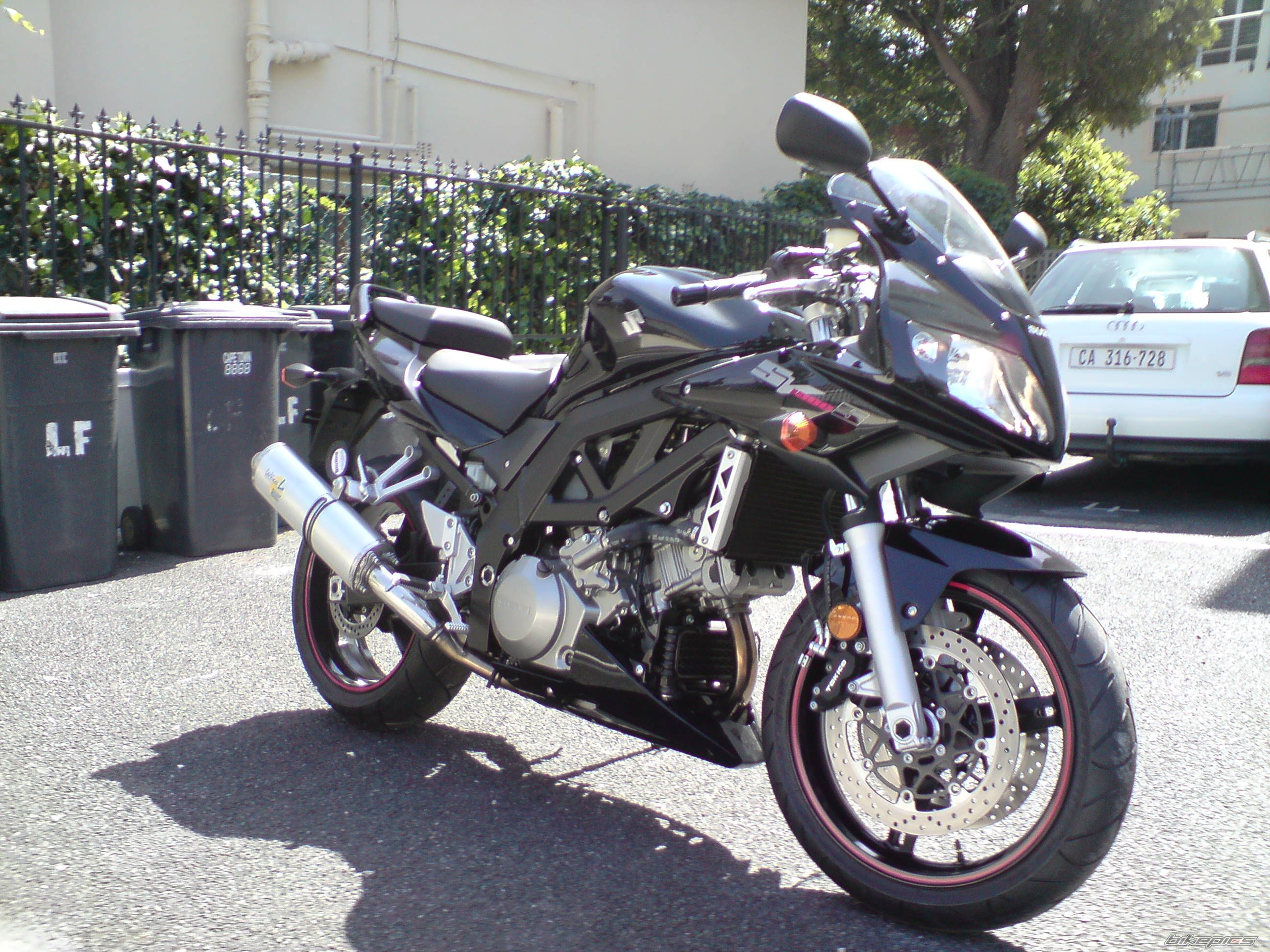 2008 SUZUKI SV 1000 S | Picture 1179802 motorcycle photo